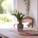 Schwalbennest Lejlighed *