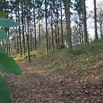 Schwalbennest Weinsheim (Bitburg-Prum)