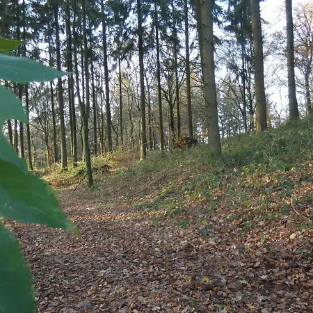 Schwalbennest Weinsheim (Bitburg-Prum)