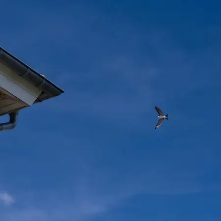 Schwalbennest Apartament