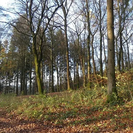 Apartament Schwalbennest *