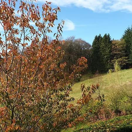 Schwalbennest Apartament