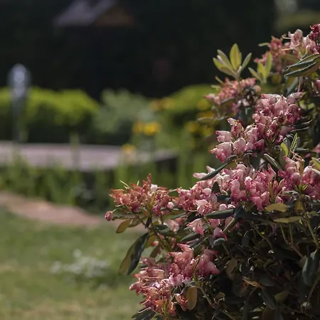 Schwalbennest * Weinsheim (Bitburg-Prum)