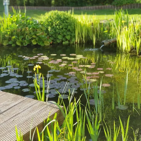 Schwalbennest Apartament *