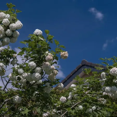 Apartament Schwalbennest *