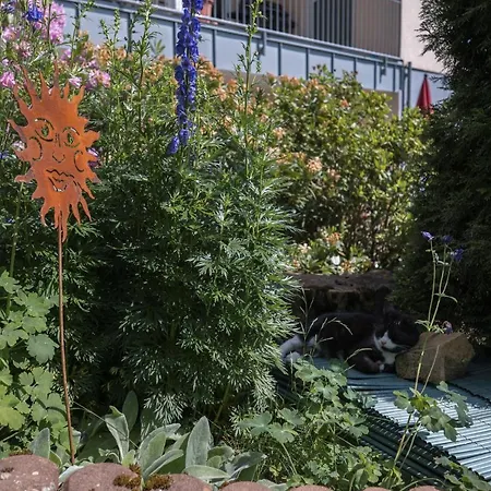 Schwalbennest * Weinsheim (Bitburg-Prum)