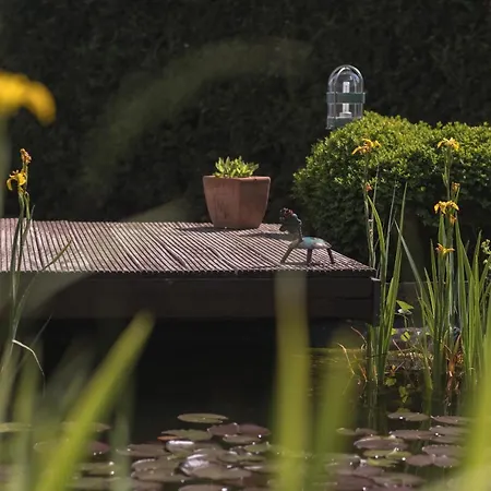 Apartament Schwalbennest Weinsheim (Bitburg-Prum)