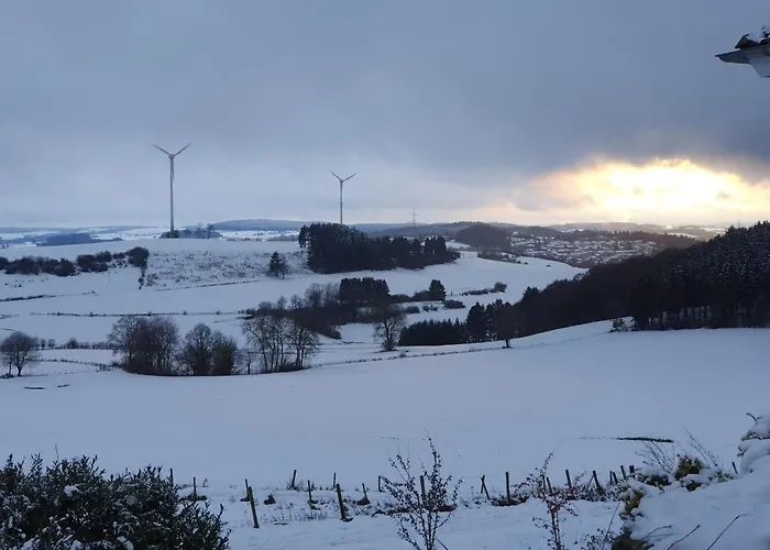 Schwalbennest Weinsheim (Bitburg-Prum)