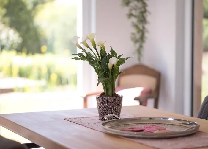 Schwalbennest Lejlighed *