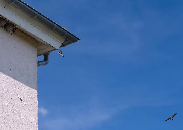 Lejlighed Schwalbennest *