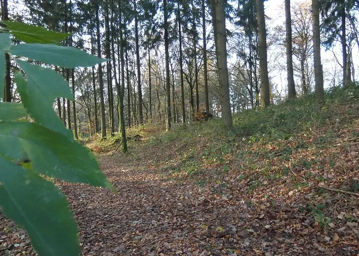 Schwalbennest Weinsheim (Bitburg-Prum)