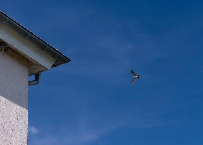 Schwalbennest Lejlighed