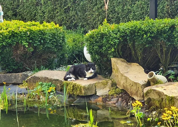 Schwalbennest * Weinsheim (Bitburg-Prum)