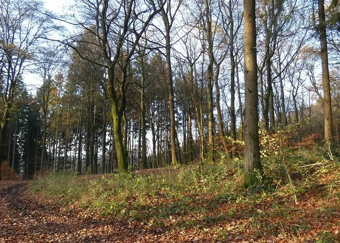 Lejlighed Schwalbennest *