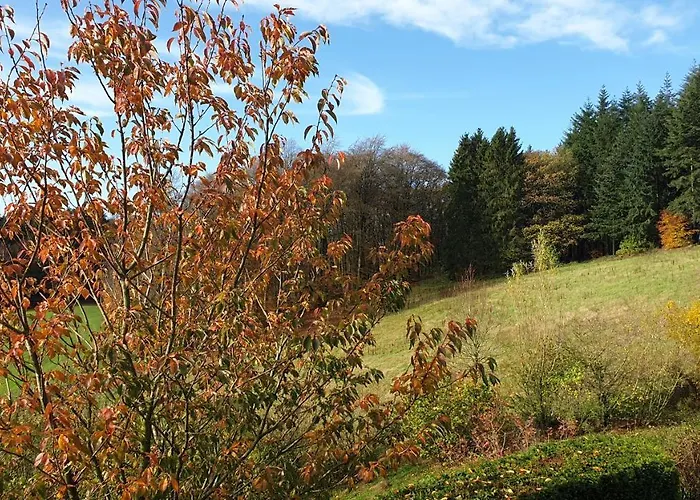 Schwalbennest Lejlighed