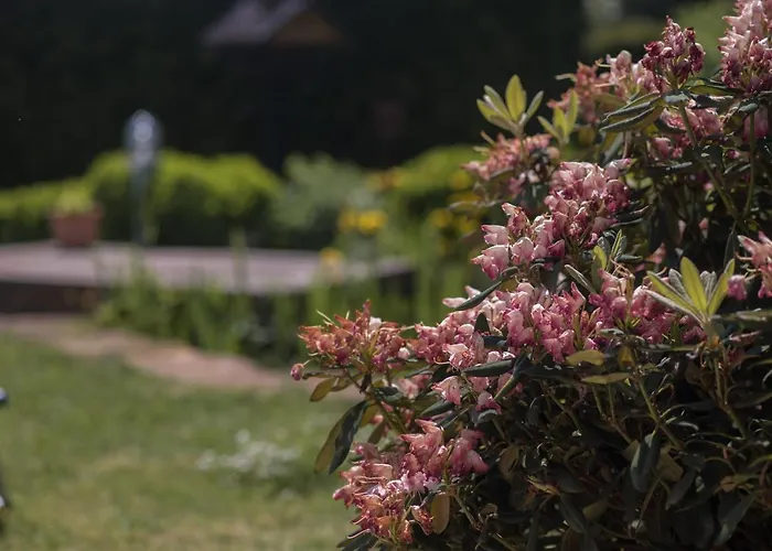 Schwalbennest * Weinsheim (Bitburg-Prum)