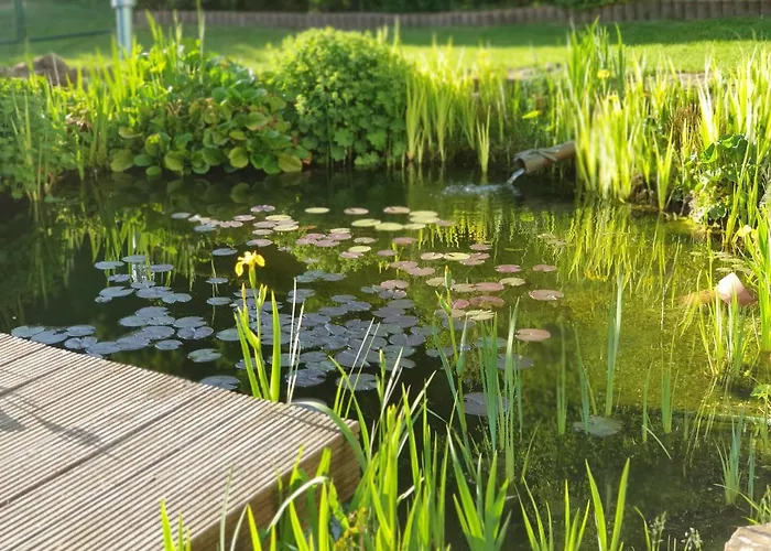 Schwalbennest Lejlighed *