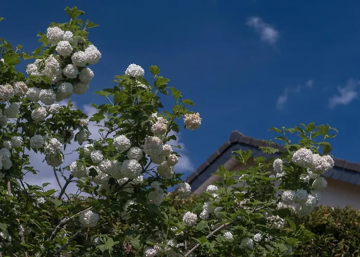 Lejlighed Schwalbennest *