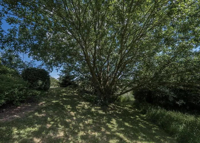 Lejlighed Schwalbennest Weinsheim (Bitburg-Prum)