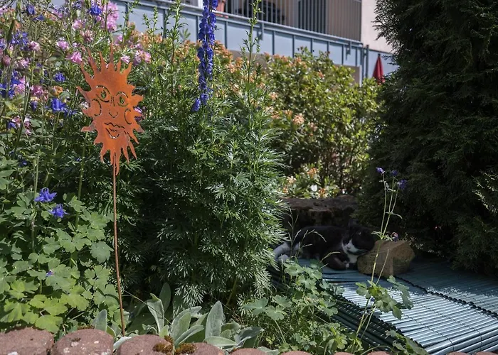 Schwalbennest * Weinsheim (Bitburg-Prum)