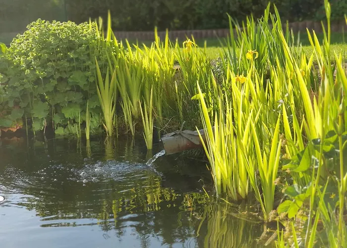 Schwalbennest Lejlighed Weinsheim (Bitburg-Prum)